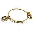 thumbnail image 2 of Alex and Ani Women's Wings of Change Charm Bangle Bracelet, 2 of 2