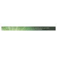 thumbnail image 3 of Xyloburst Xylitol Gum, Spearmint, 12 Pieces, 3 of 5