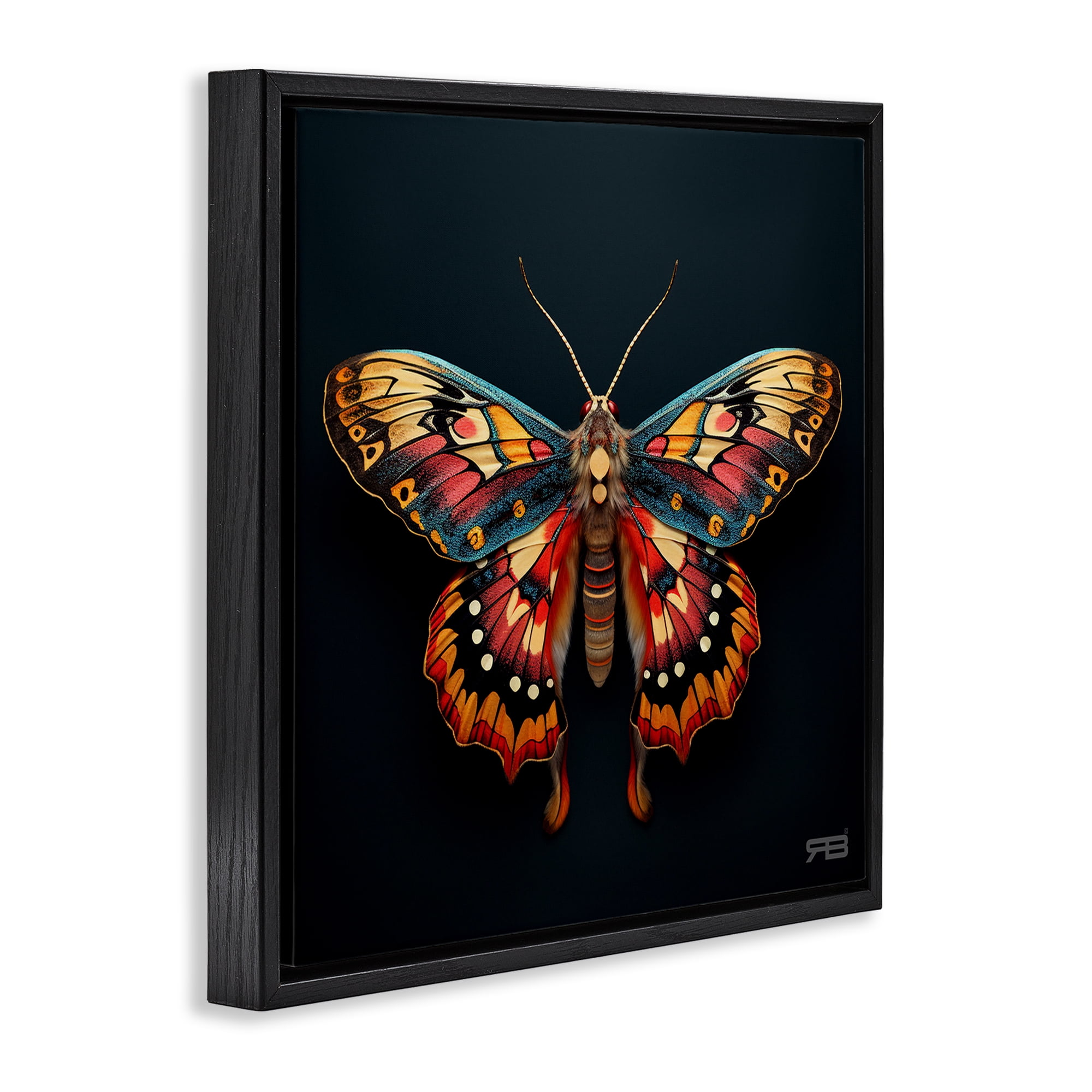 Stupell Industries Vivid Patterned Moth Animals & Insects Painting Black Floater Framed Canvas Art Print Wall Art, 18 x 18