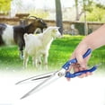thumbnail image 3 of Hand Shears for Sheep Goat Horse Rabbit Pet Cut Hair Wool AlL purpose lengthen Scissors(type 1) Gueiykk, 3 of 8