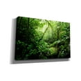 thumbnail image 2 of Cortesi Home 'Warm Glow Rainforest Creek' by Nicklas Gustafsson Canvas Wall Art, 40"x26", 2 of 2