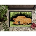 thumbnail image 3 of Caroline's Treasures SS8526MAT Paillasson Intérieur Extérieur Chow Chow 18 x 27 Po, 3 of 4