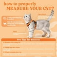 thumbnail image 3 of rabbitgoo Cat Harness and Leash for Walking, Escape Proof Soft Adjustable Vest Harnesses for Cats, Easy Control Breathable Reflective Strips Jacket, Orange, 3 of 11