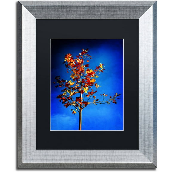 Trademark Fine Art "In the Autumn Wind" Canvas Art by Philippe Sainte-Laudy Black Matte, Silver Frame