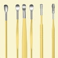 thumbnail image 6 of Stainless Steel Ear Picks, 6 Pcs, Dark Green with Leather Caseinnovative Spring Earwax Cleaner Tool Set, 6Pcs 360°Spiral Design Earwax Removal Tools, Ear Wax Removal Kit Ear Cleani Makeup Organizers, 6 of 8