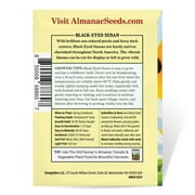 The Old Farmers Almanac Rudbeckia Black Eyed Susan Seeds - Premium Non-GMO, Open Pollinated, USA Origin, Flower Seeds - 1 Gram