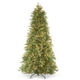thumbnail image 3 of National Tree Company 6.5 ft Pre-Lit Tiffany Fir Slim Artificial Christmas Tree, 500 Clear Lights, 1,462 Tips, Includes Stand, Green, 3 of 9