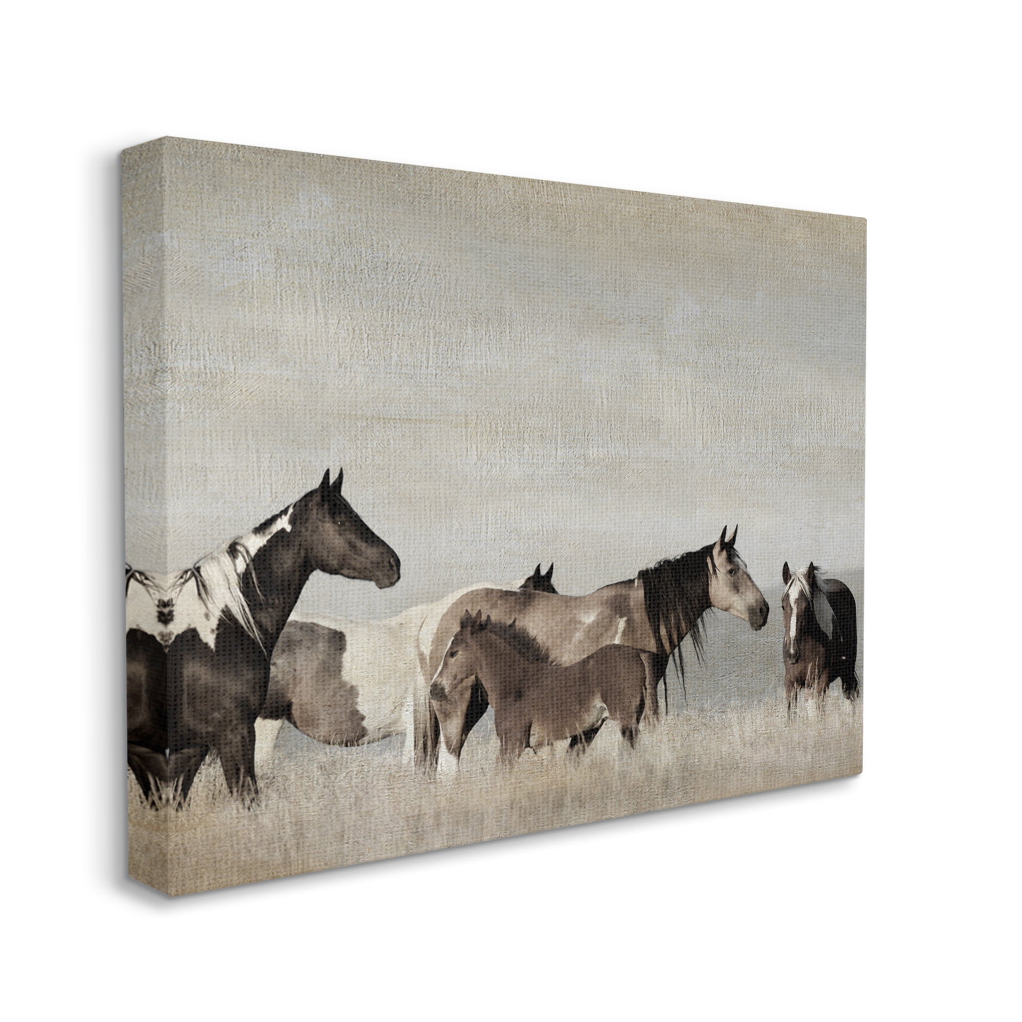 Stupell Industries Horse Herd with Foal Animals & Insects Photography Gallery Wrapped Canvas Art Print Wall Art, 48 x 36