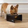 thumbnail image 7 of THE LICKER STORE Keaton 5" Small/Medium Modern Acrylic Rectangular Elevated Pet Feeder with 20oz 1-Stainless Steel Bowl, Black/Gold, DBL2002B, 7 of 7