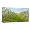 Design Art Bloomy Peach Forest Photography Photographic Print on Wrapped Canvas