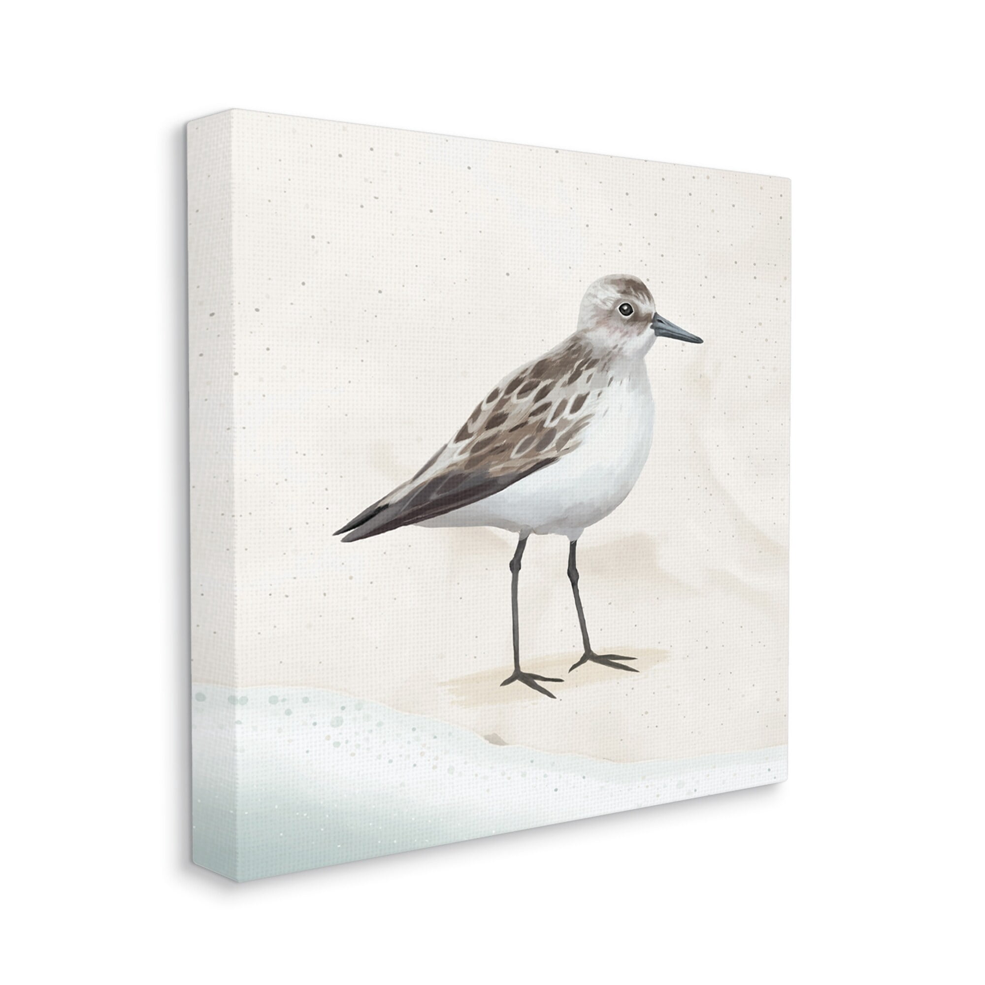 Stupell Industries Sandpiper Bird at Water's Edge Beach Shoreline Graphic Art Gallery Wrapped Canvas Print Wall Art, Design by Lucca Sheppard