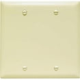thumbnail image 1 of TP23ICC12 Blank Nylon Wall Plate, 2 Gang, Ivory, 1 of 1