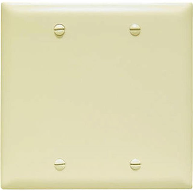 TP23ICC12 Blank Nylon Wall Plate, 2 Gang, Ivory