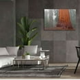 thumbnail image 6 of Epic Graffiti 'Kings Canyon' by Mike Jones, Giclee Canvas Wall Art, 60"x40", 6 of 8
