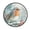 Elegant Little Robin, variant on 36.2 Inch Round Floor Mat Penguin Holding Candy Cane Carpet Decor Rug for Living Room Bedroom