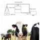thumbnail image 3 of Ordeñadora De Vacas, Ordeñadora Portátil De Acero Inoxidable Y Plástico Fácil De Operar Fácil De Limpiar Para Almacenamiento, 3 of 8