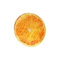 thumbnail image 2 of Grape Fruit Shaped Acrylic Bookmark Translucent Page Marker, Sturdy Anti-Scratch Book Accessory, Lightweight Portable DIY Craft Gift for Readers Students Teachers School Office Daily Reading, 2 of 5