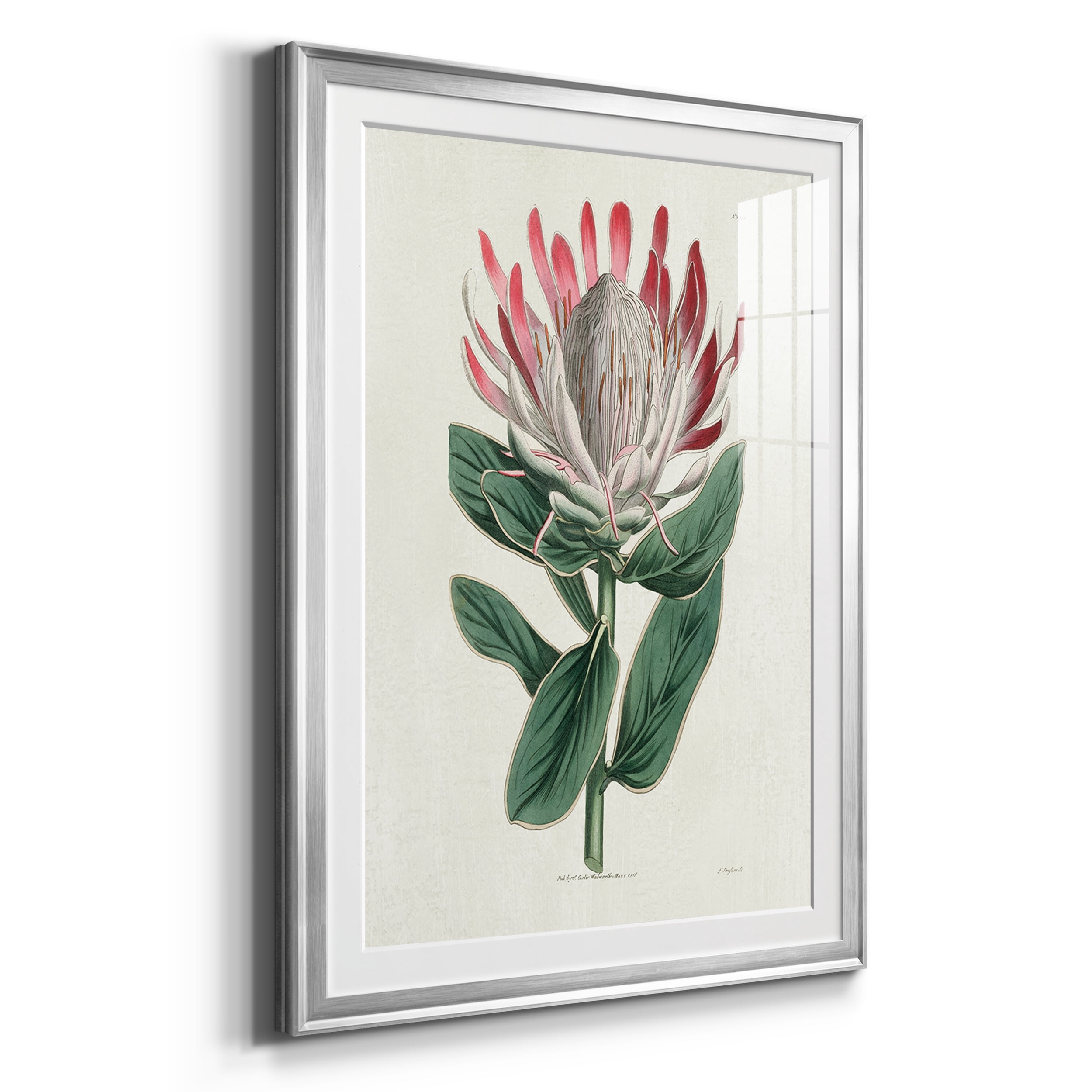 Protea N13 Premium Framed Prints Set of 3 - Ready to Hang - 26.5 x 36.5 Each - Silver Frame