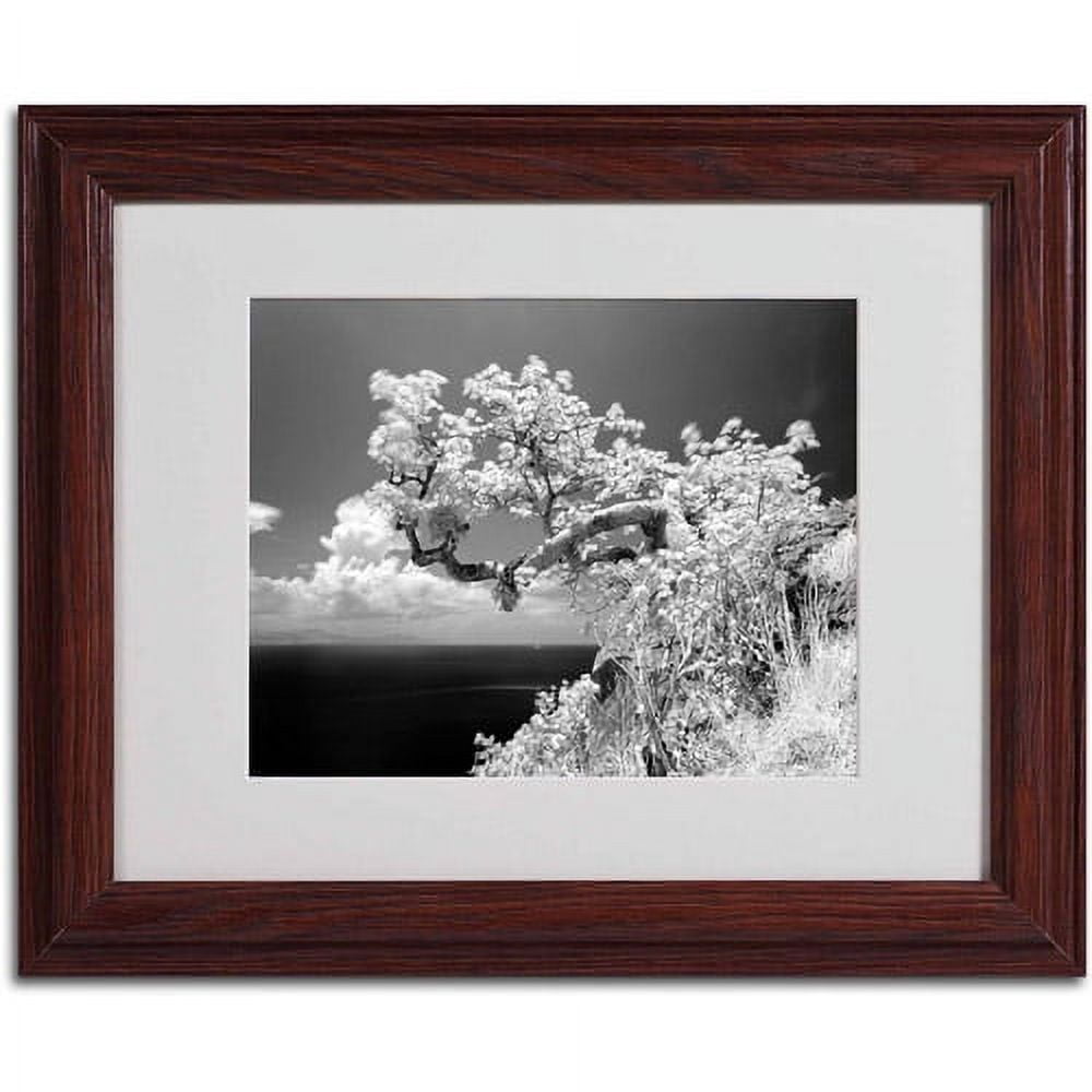 Matted art under acrylic in a wood frame