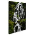 thumbnail image 2 of Trademark Fine Art "Liquid Road" Canvas Art by Philippe Sainte-Laudy, 2 of 3