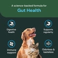 thumbnail image 4 of Polvo para la salud intestinal VetriScience Entero Flora Pro 60 g, 4 of 8