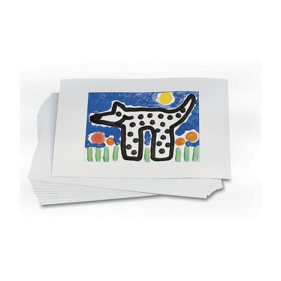 Inovart 239352 Sax 6-Ply Medium-Weight Pre-Cut Mat Board Frame, 22 x 28 in., White - Pack of 12