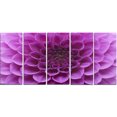 thumbnail image 2 of Large Light Purple Flower and Petals - Floral Canvas Art Print, 2 of 3