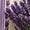 Purple-2, variant on Women’s 3/4 Sleeve V-Neck Maxi Dresses Striped Loose Long Dresses Flowing Drape for Casual Vacation Wear Cover Up Sundress