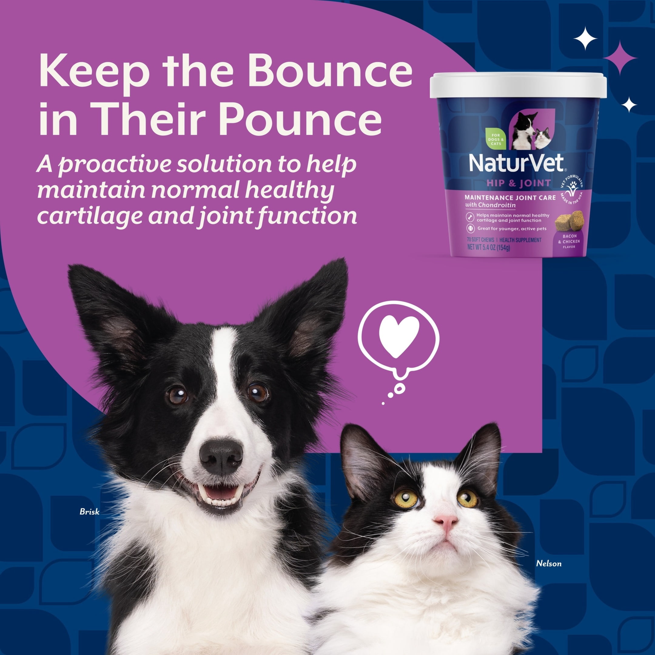 NaturVet Maintenance Joint Care Hip & Joint Supplement for Dogs and Cats, Bacon and Chicken Flavor, 70 Count