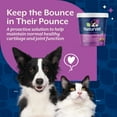 thumbnail image 5 of NaturVet Maintenance Joint Care Hip & Joint Supplement for Dogs and Cats, Bacon and Chicken Flavor, 70 Count, 5 of 9