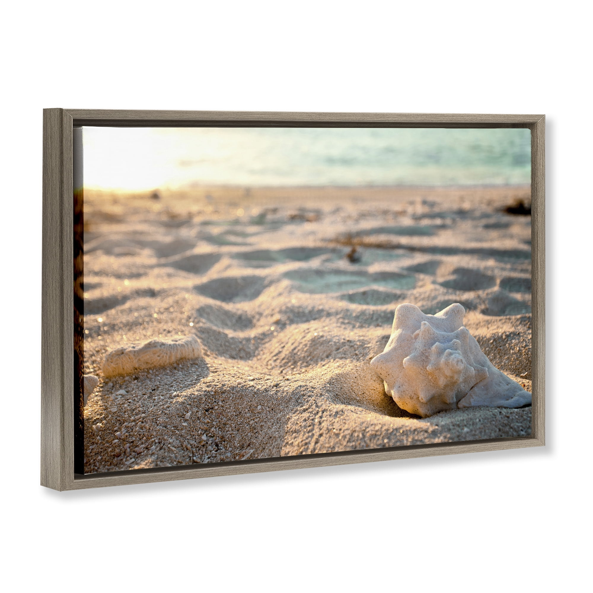 Stupell Industries Conch Shell in Sand Coastal Photography Brown Floater Framed Canvas Art Print Wall Art, 31 x 21