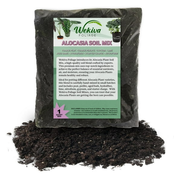 Alocasia Growing Soil Mix 1 Quart - Custom Soil Blend Potting Mix for Alocasia Plants Specially Developed by and for Professional Nursery Growers - Nutrient-Rich Formula