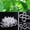 White, variant on IMossad Tomato Clips, Plastic Trellis Clips, 210 Pcs Plant Support Clips, Grape Vine Tomato Vine, Garden Clips for Tomato Cucumber Grape Plants