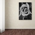 thumbnail image 4 of Trademark Fine Art "Black & White Rose" Canvas Wall Art by Patty Tuggle, 4 of 4
