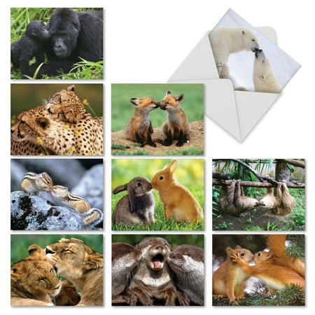 'M6594TYG ANIMAL SMACKERS' 10 Assorted Thank You Notecards Featuring Sweet and Tender Captured Moments of Love Among Our Animal Friends, with Envelopes by The Best Card