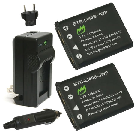 Replacement for Kodak PIXPRO FZ55 Battery (2-Pack 1100mAh) and Charger with Car Adapter