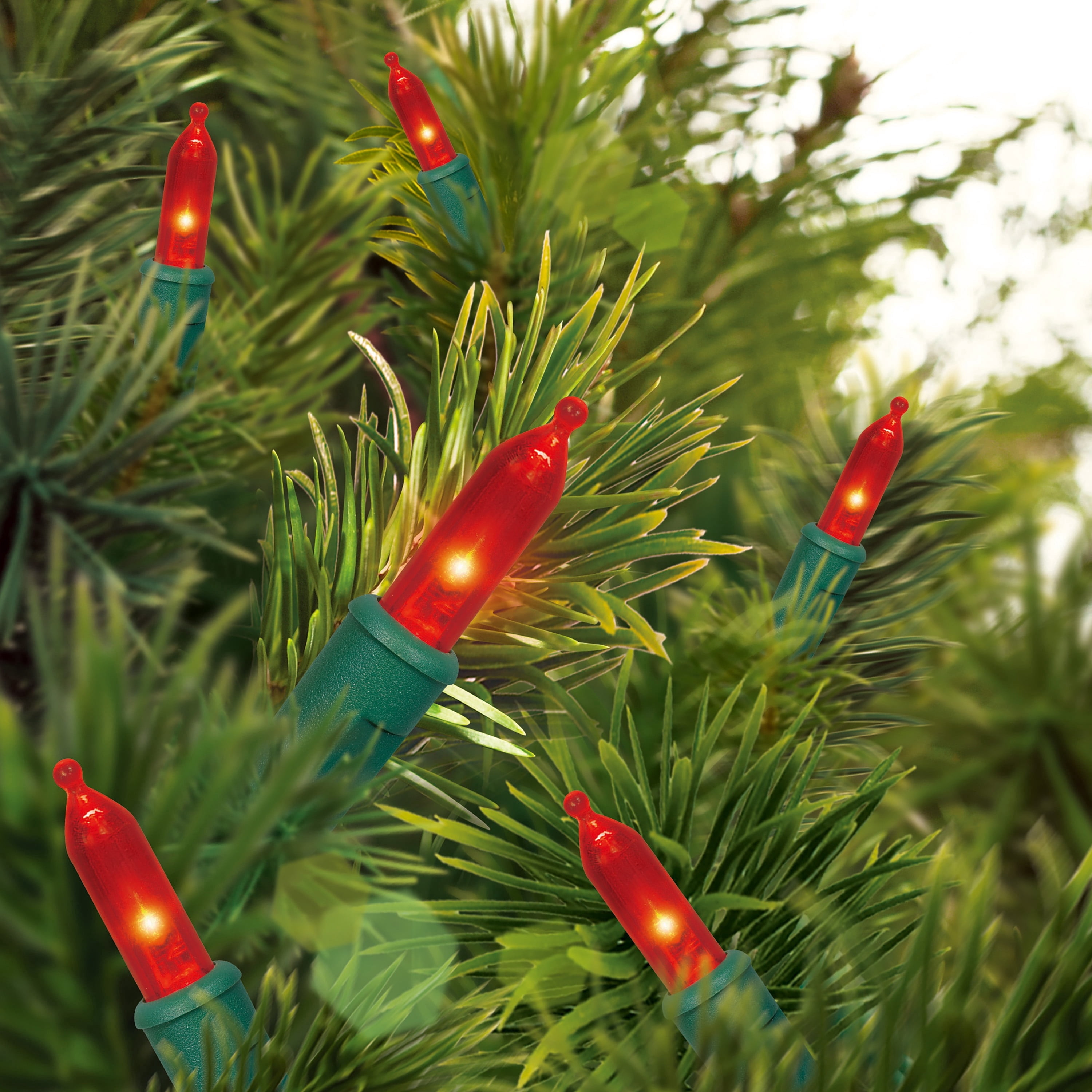 Indoor/Outdoor 100-Count LED Mini Christmas String Lights, Red, Green Wire, 19.5', by Holiday Time