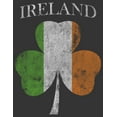 thumbnail image 2 of Men's Lost Gods St. Patrick's Day Distressed Irish Clover Flag Graphic Tee Charcoal 2X Large, 2 of 5