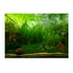 thumbnail image 3 of Acuario de Las Impresiones 3D, Decoración de Del Paisaje Del Del Fondo Del de Pescados 76x56cm Yinane Vinilo decorativo pecera, 3 of 8