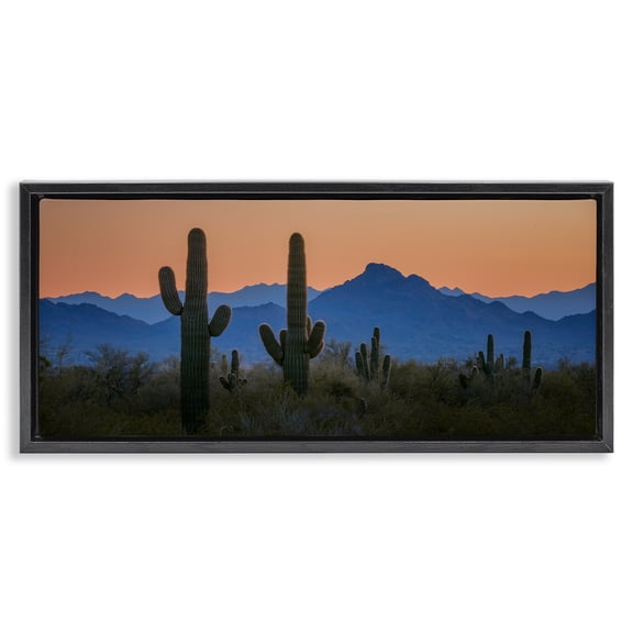 Stupell Industries Rustic Lodge Black Floating Frame Canvas Art, 25 x 11, by Marty Hulsebos