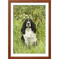 thumbnail image 2 of English Springer Spaniel, Animals World Culture Framed Art Print Wall Art Sold by ArtCom, 2 of 6