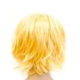thumbnail image 4 of Onedor 12 Inch Short Straight Men Hair Wig Colored Cosplay Wig Heat Friendly Party Costume Unisex Wig, 4 of 4