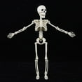 thumbnail image 3 of "Life-Size Poseable Halloween Skeleton with Movable Joints - Realistic Haunted House Graveyard Decor for Indoor Outdoor Scary Party Decoration" (148 characters), 3 of 4