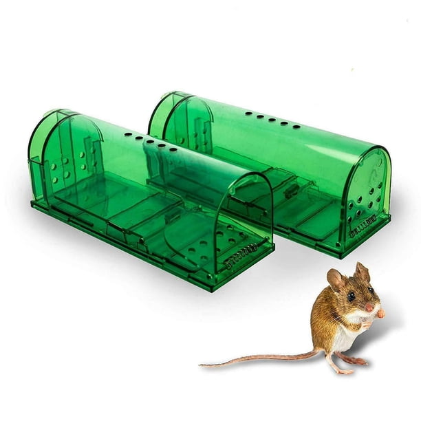tón de poner niños/mascotas segura reutilizable para interior/exterior para roedores/Voles/hámsters/topos Catcher - Verde CUTICAT trampa para ratones jaula de captura de plagas