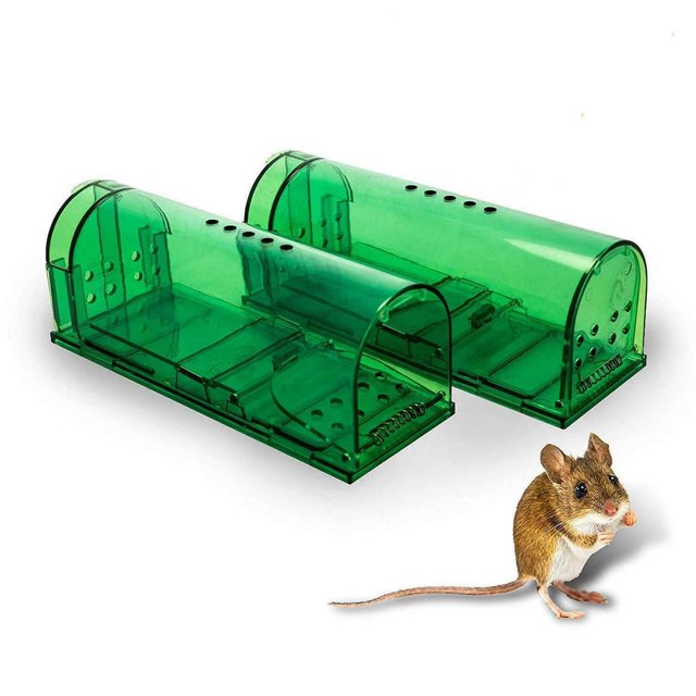 tón de poner niños/mascotas segura reutilizable para interior/exterior para roedores/Voles/hámsters/topos Catcher - Verde CUTICAT trampa para ratones jaula de captura de plagas