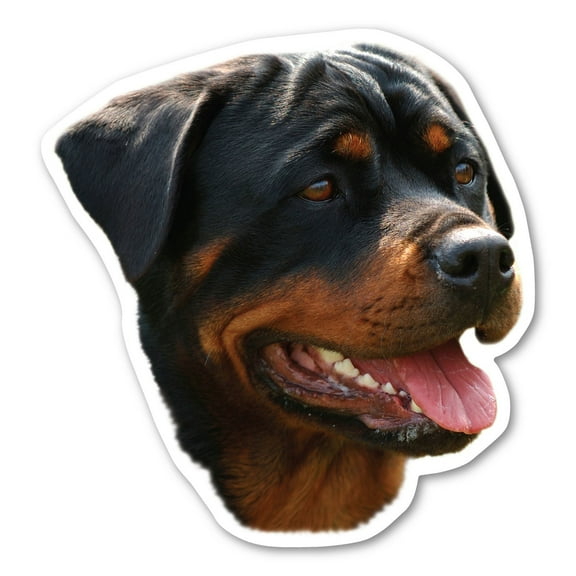 Rottweiler Dog Magnet