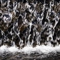thumbnail image 3 of Hausenflock, Alan 12x12 Black Modern Framed Museum Art Print Titled - Falling Water II, 3 of 5