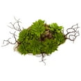 thumbnail image 5 of Nearly Natural 7" Plastic Succulent Garden Artificial Plant with Seashell, Green, 5 of 6