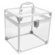thumbnail image 1 of unbranded Caja Discos Vinilos Con Organizador Acrílico Transparente Ideal Para Escritorio Y, 1 of 8