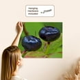 thumbnail image 5 of 3dRose, Huckleberry fruit, Flathead National Forest, Montana - US27 CHA1441 - Chuck Haney, Museum Grade Canvas Wrap 20x16, 5 of 7